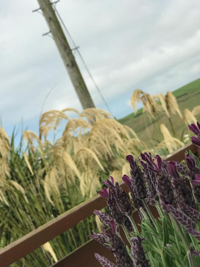 Lodge Cabin With Fabulous Views - Farm Holiday 斯特兰拉尔 外观 照片